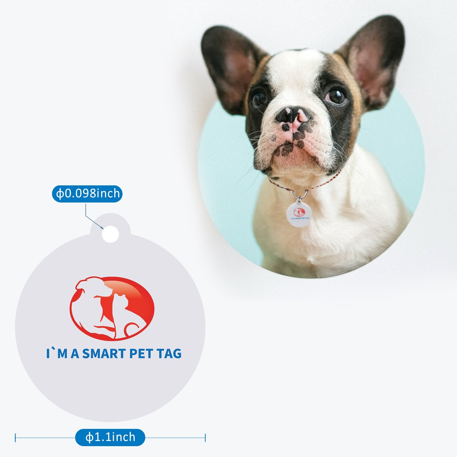 RexID Round Dog Tag QR Code Pet ID Tags Smart Permanent ID Tag