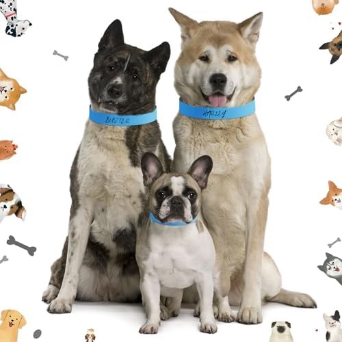 500 Count 20inch Adjustable Paper Dog Collars with Tear Resistant Waterproof Whe