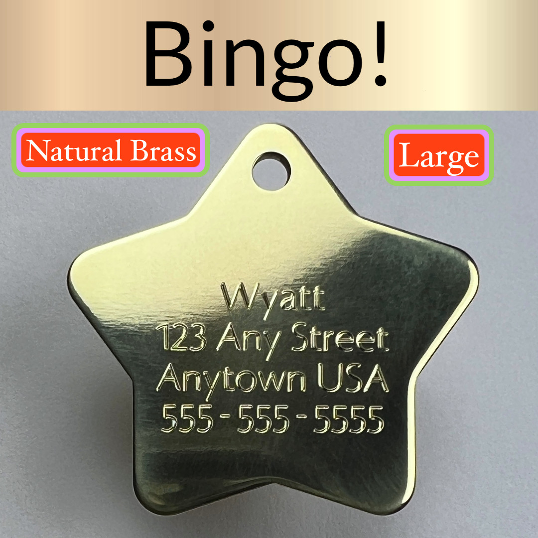 Custom Engraved Dog Tags Personalized Dog Collar Pet Tags Engraved ID BRASS STAR