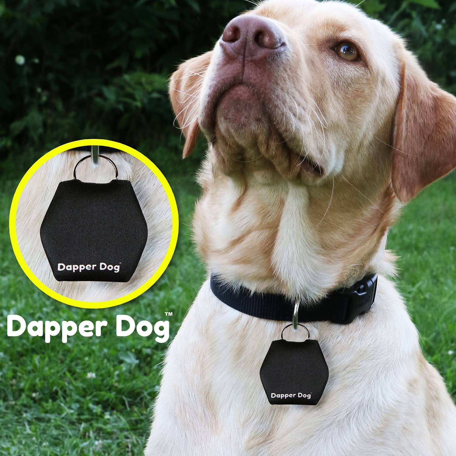Dapper Dog – Dog Tag Silencer with Tag Ring (Black)