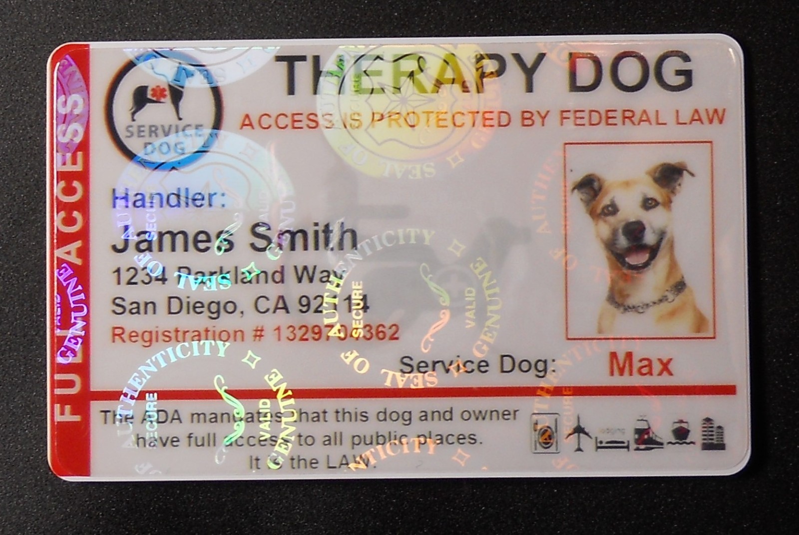 HOLOGRAPHIC THERAPY SUPPORT DOG ID CARD FOR SERVICE DOG ADA RATED 8THR R