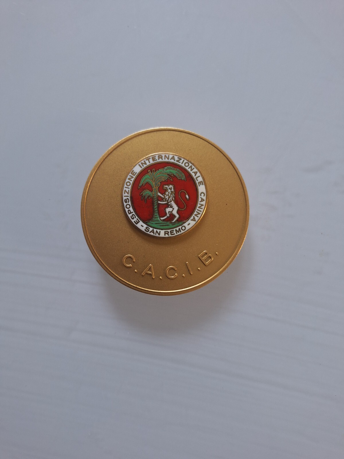 Animal Collection Gold Medal International Canine Exhibition San Remo CACIB