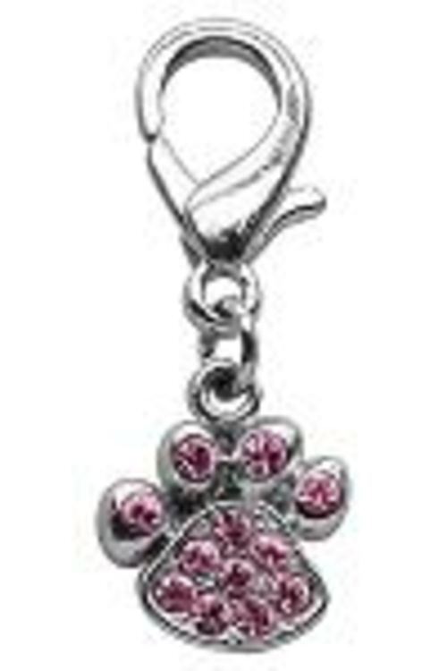Mirage Pet Products Lobster Claw Paw Charm