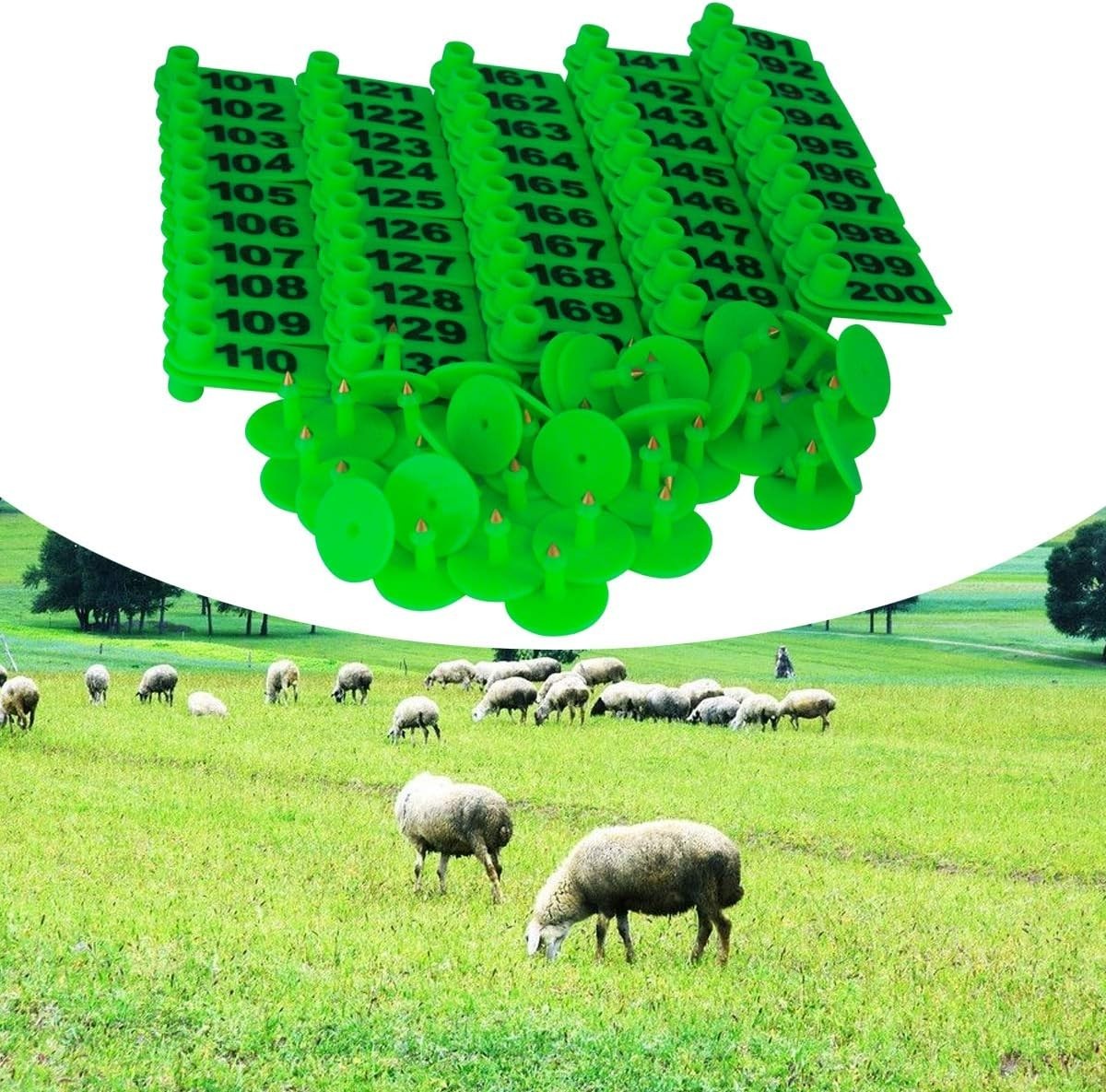Animal Identification Made Easy – 200 Green Plastic Ear Tags for Small Livestock
