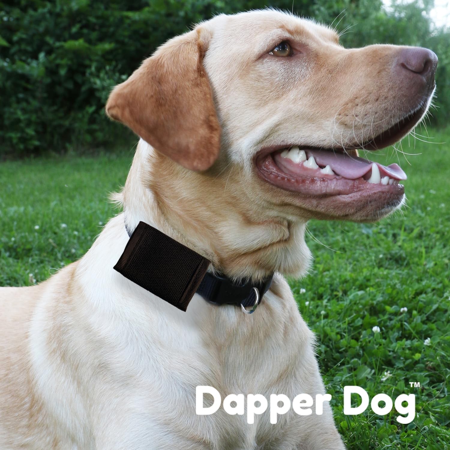 Dapper Dog Pet Tag Silencer Ballistic Nylon Black Quiet Collar Accessories