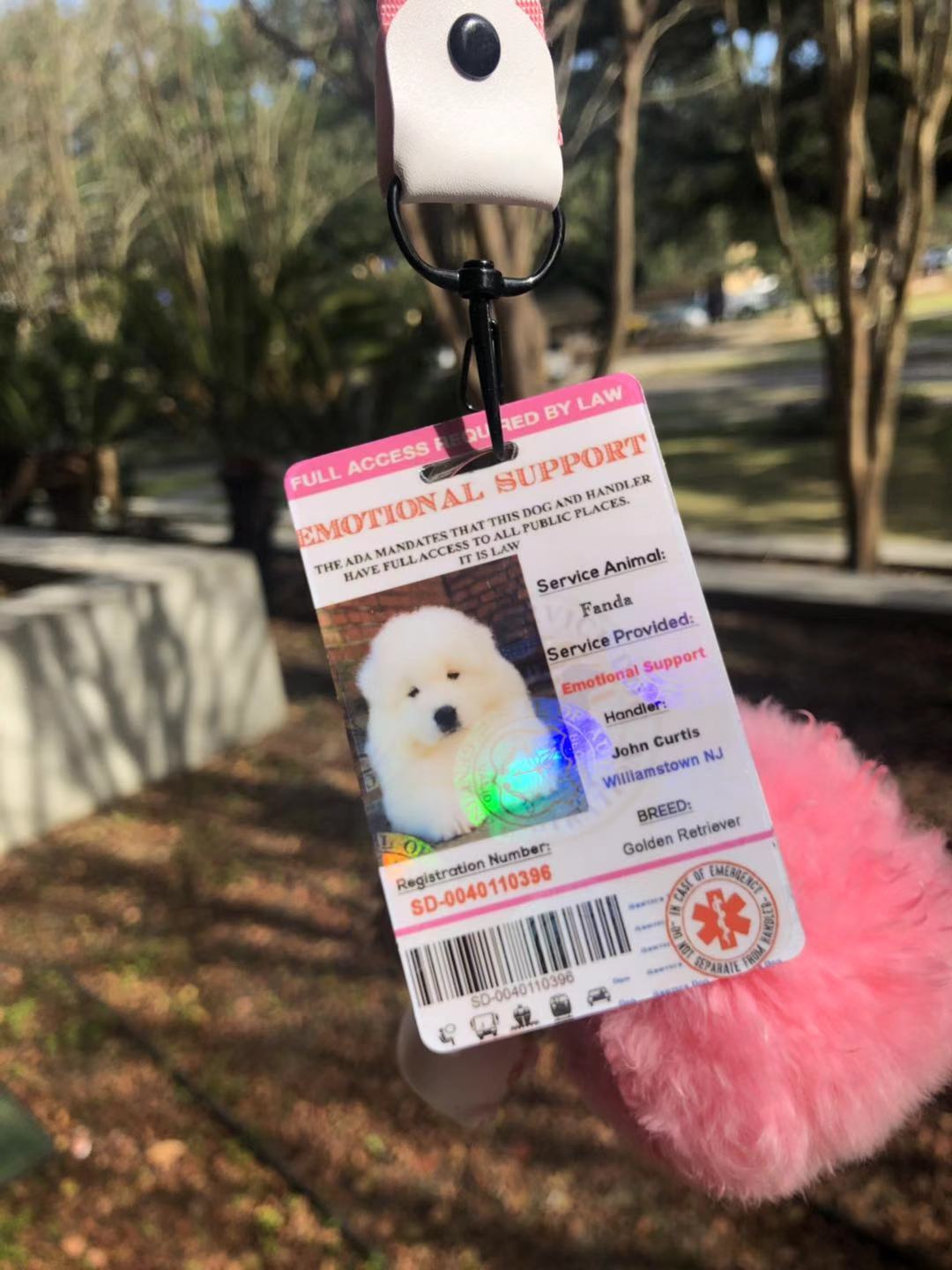 Pink Emotional Support/Service Dog Card ID Holographic Charity ADA ESA Barcode