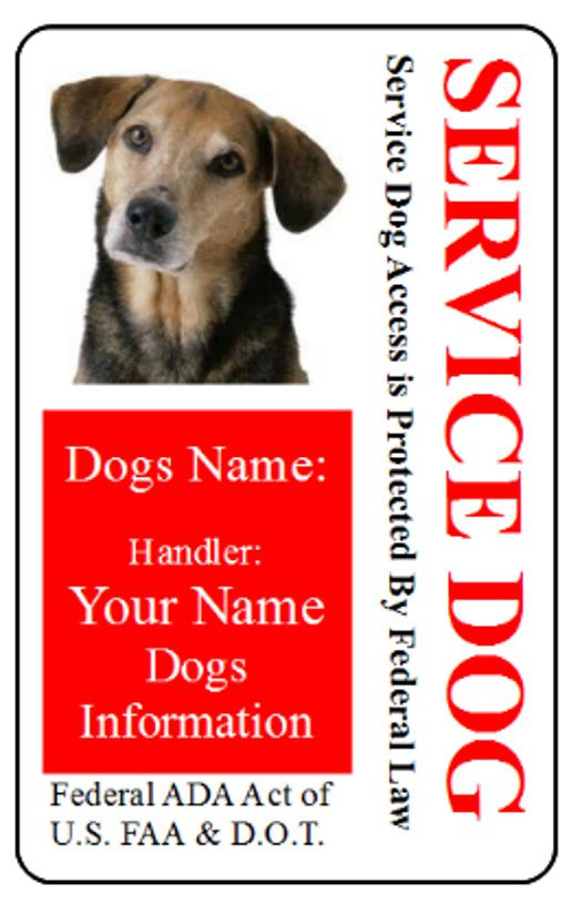 Service Dog ID Badge for Working Dog ID Card Service Animal Custom Made 13