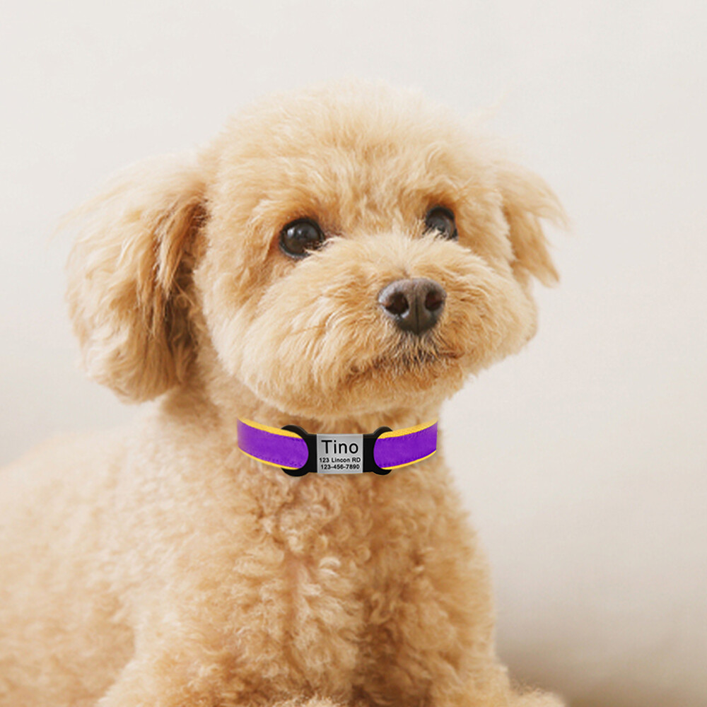 Personalized Slide-On Pet ID Tag for Dog Collars Engraved Nameplate Slide-On