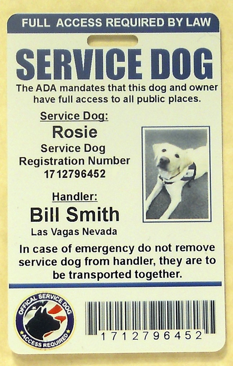 Custom ID Card / Badge for Service Dog Certified Working Dog Service Animal 6