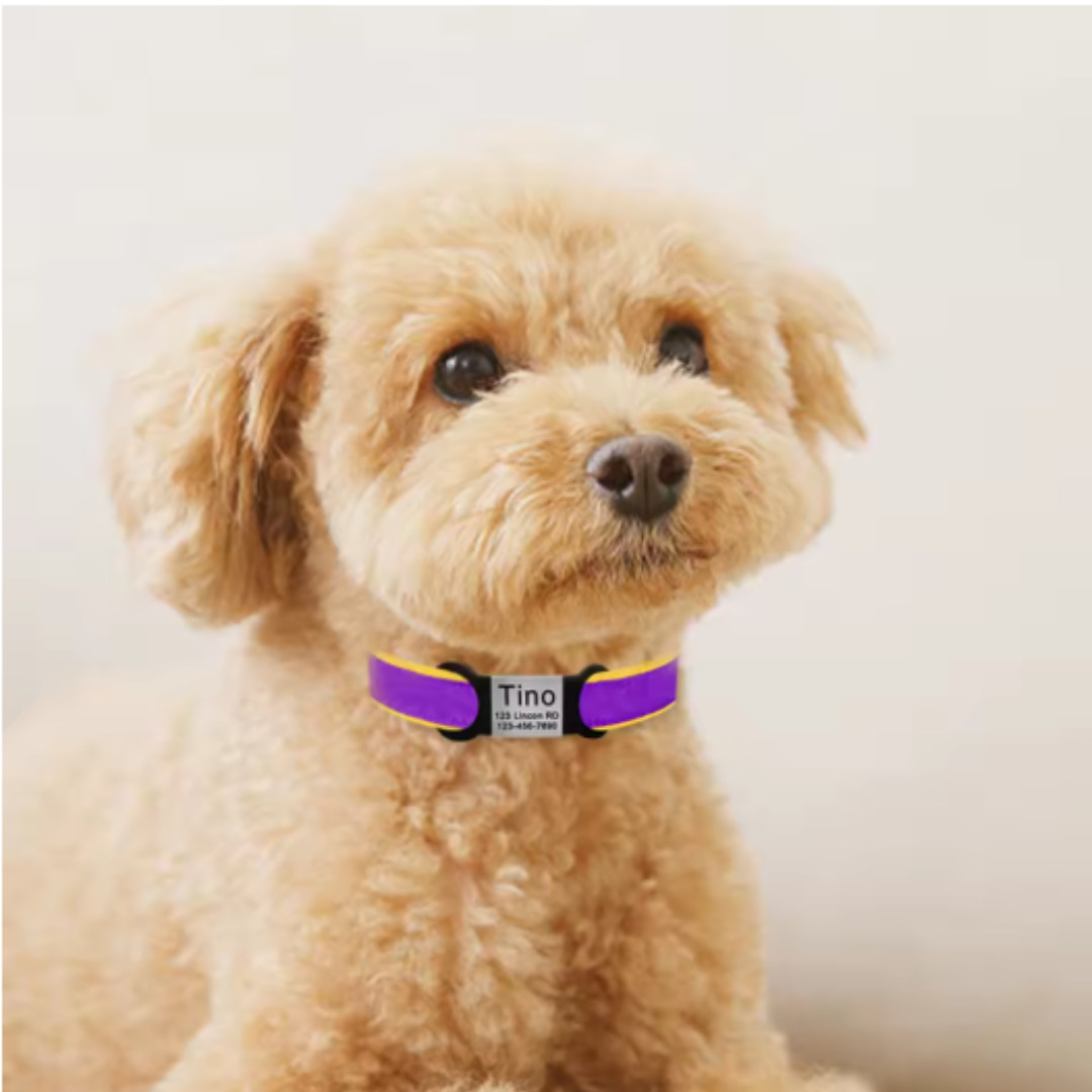 Personalized Pet ID Tag Free Engrave Name Phone Number Stainless Steel Nameplate