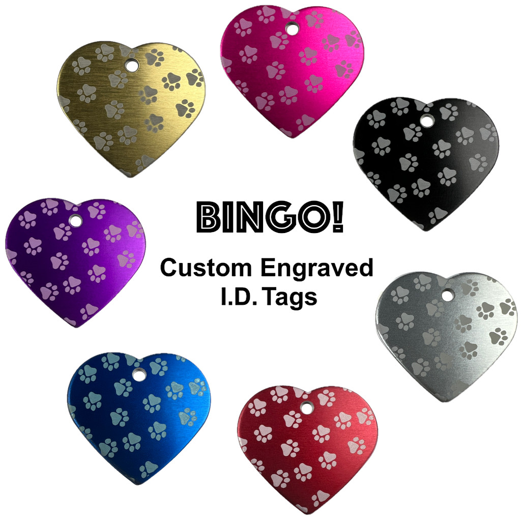 Custom Engraved Dog Tags Personalized Dog Collar Pet Tags Engraved Pet Tag PAWS