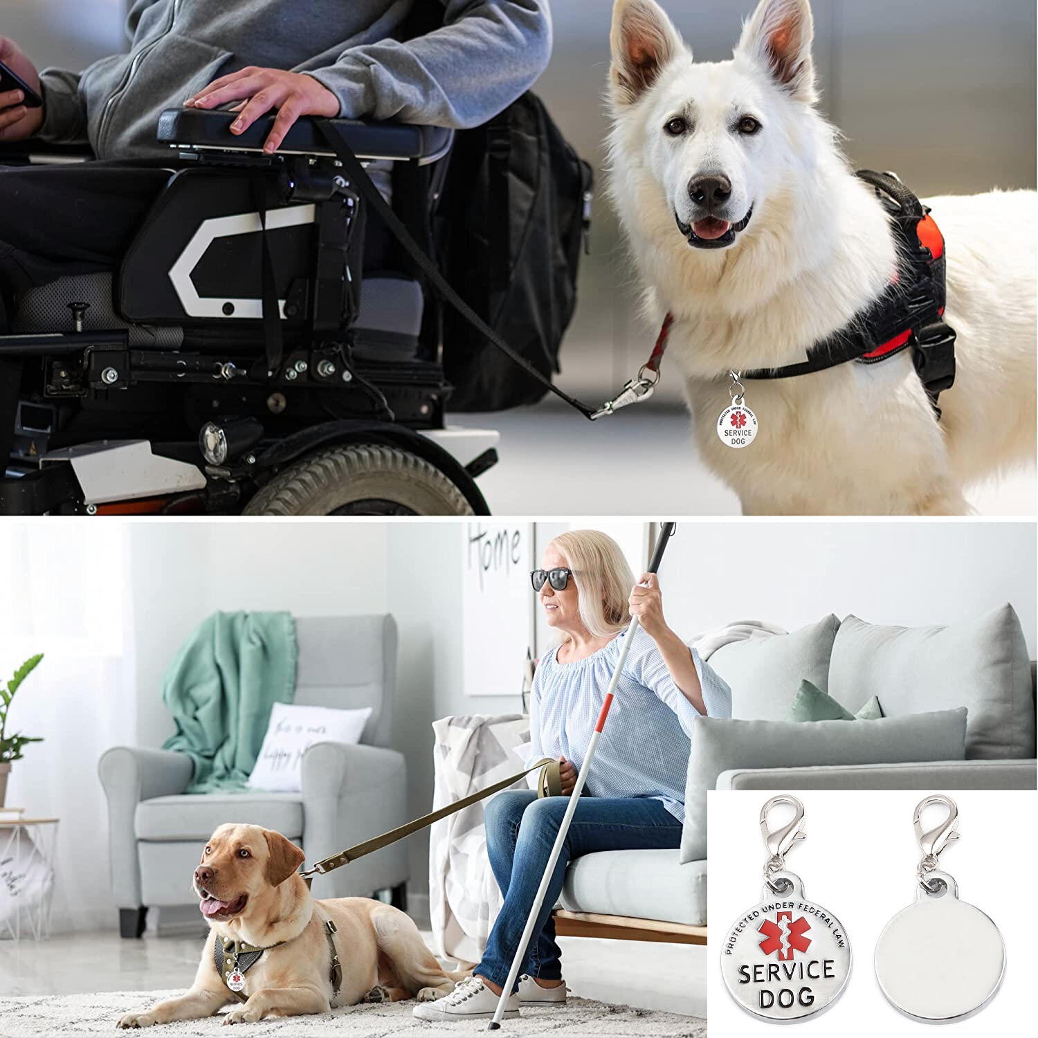 2pc set Service Dog Tags Therapy Dog ID Sturdy clasp Quick clip on/off Fast Ship