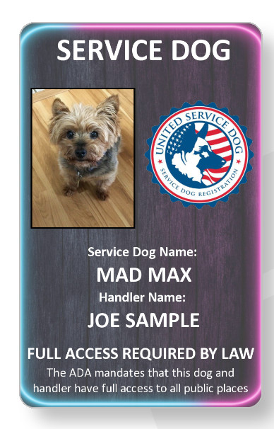 Neon blue/pink Service Dog/Emotional support/Therapy Dog ID card