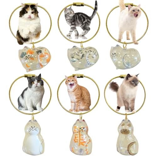 6PCS Cat Fur Keepsake Storage Bottle Pet Memorial Keychain