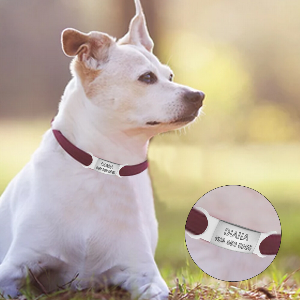 Personalized Slide-On No Noise Dog ID Tags Stainless Steel Cat Collar Tag Disc