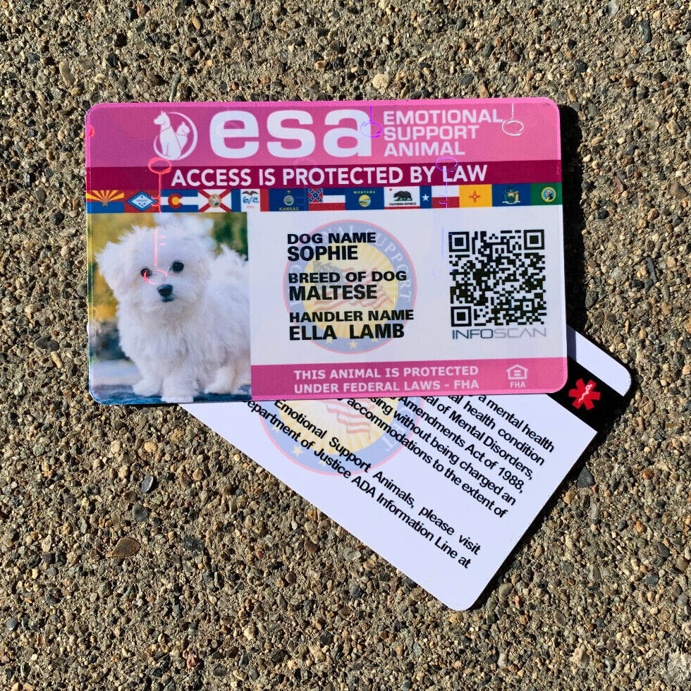 EMOTIONAL SUPPORT ANIMAL (ESA) ID BADGE SERVICE DOG ID CARD – PINK HOLOGRAPHIC