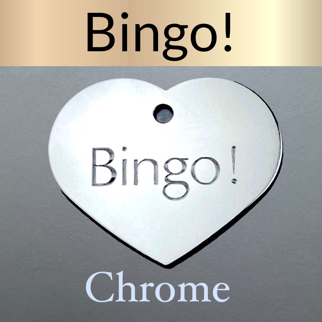 Custom Engraved Dog Tags Personalized Dog Collar Pet Tags Engraved Pet ID CHROME