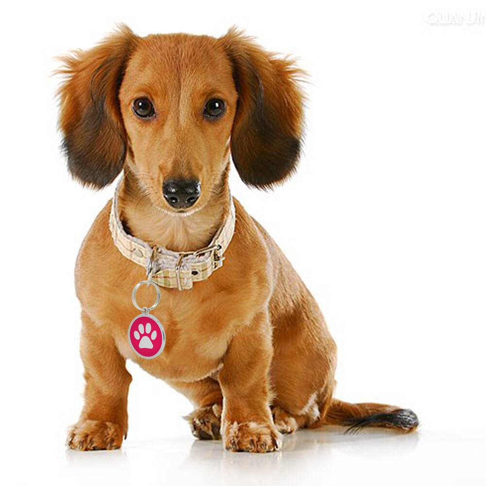 Paw Print Dog Tags Custom Pet Puppy Cat Name ID Collar Tag Engraved Free Whistle