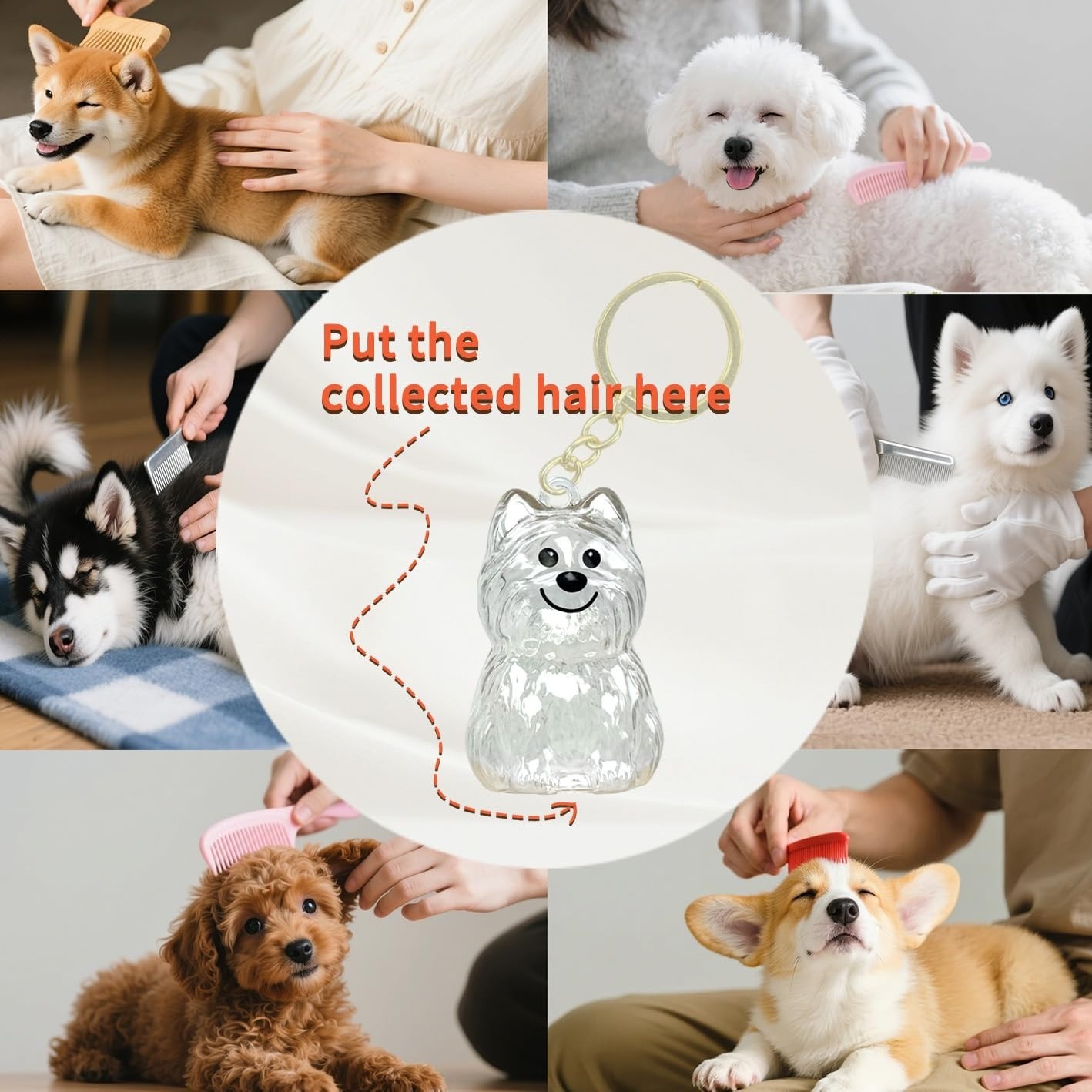 4 Pack Dog Hair Keychain | Pet Memorial Keepsake Bottle