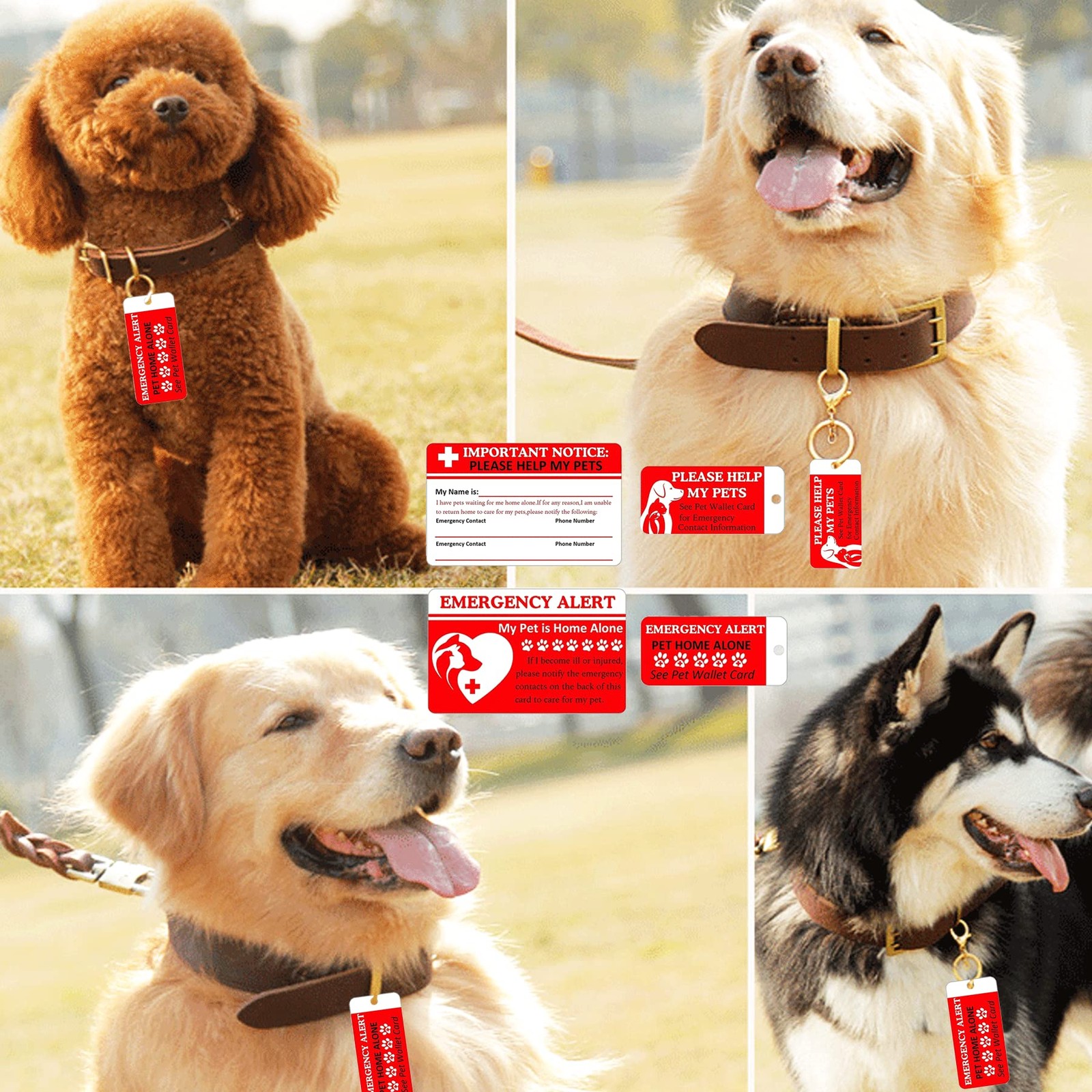 Dogs & Cats are Home Alone Alert Emergency Card and Key Tag with Emergency Co…