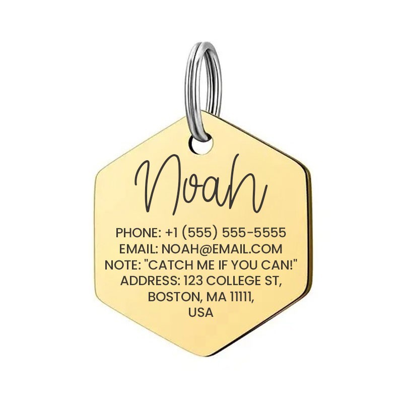 Personalized Hex Stainless Steel Dog Tag Pet Tag Placa de Identificación Perro