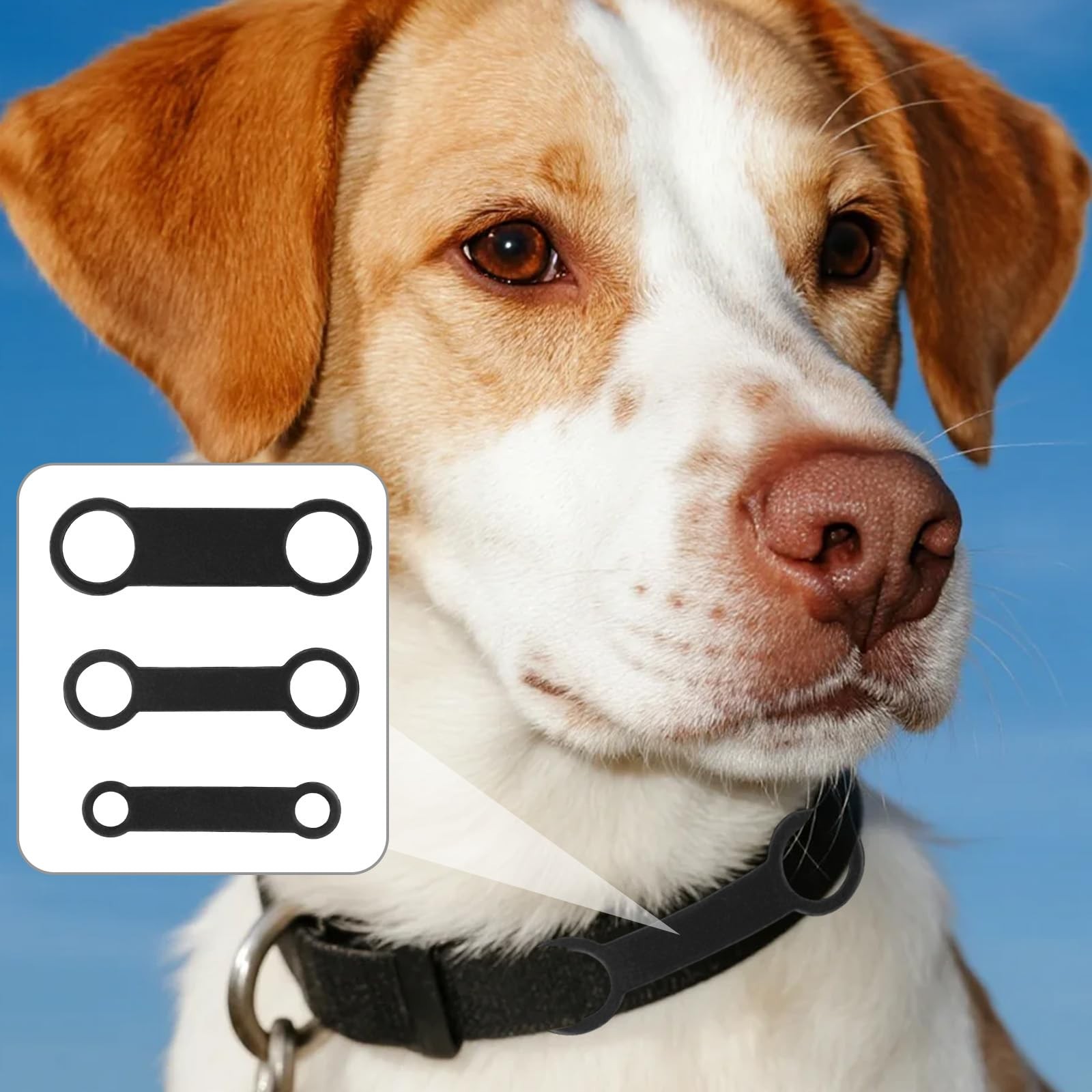 6pcs Silicone Dog Tags, 3 Sizes Slide on Dog Tags Personalized Puppy Name Pet…