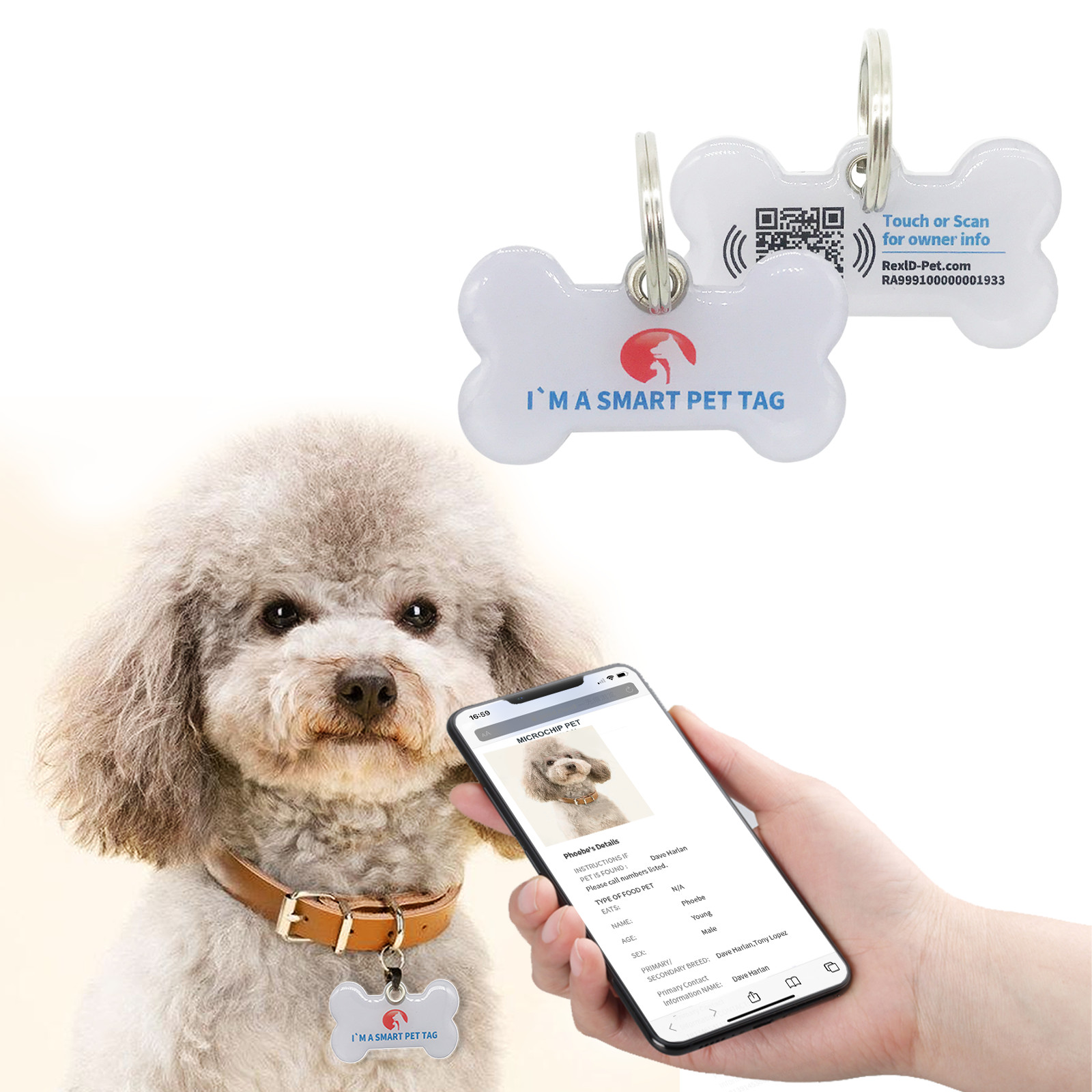 RexID Bone Dog Tag QR Code Pet ID Tags Smart Permanent ID Tag