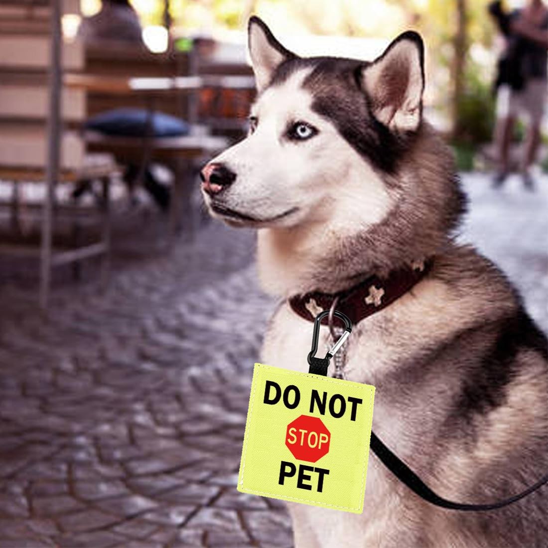 Do Not Pet Alert Hanging Patch Caution Stop Dog Nervous Vest Accessories