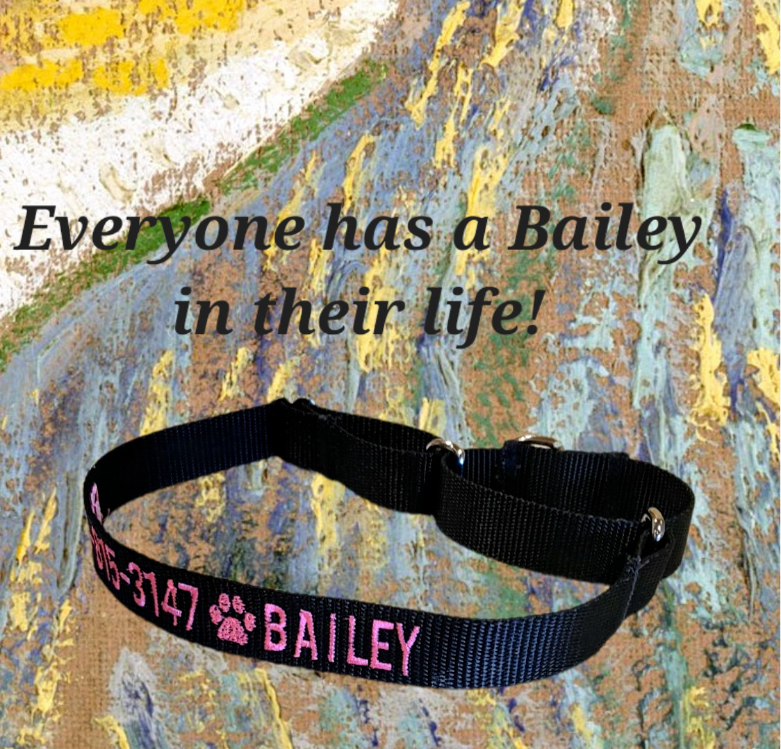PERSONALIZED Embroidered Martingale Dog Collar Pet ID Tag – Name and Phone!