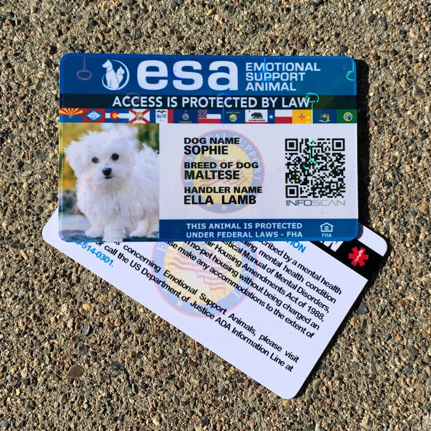 ESA ID CARD EMOTIONAL SUPPORT REGISTRATION EMOTIONAL SUPPORT ANIMAL HOLOGRAPHIC