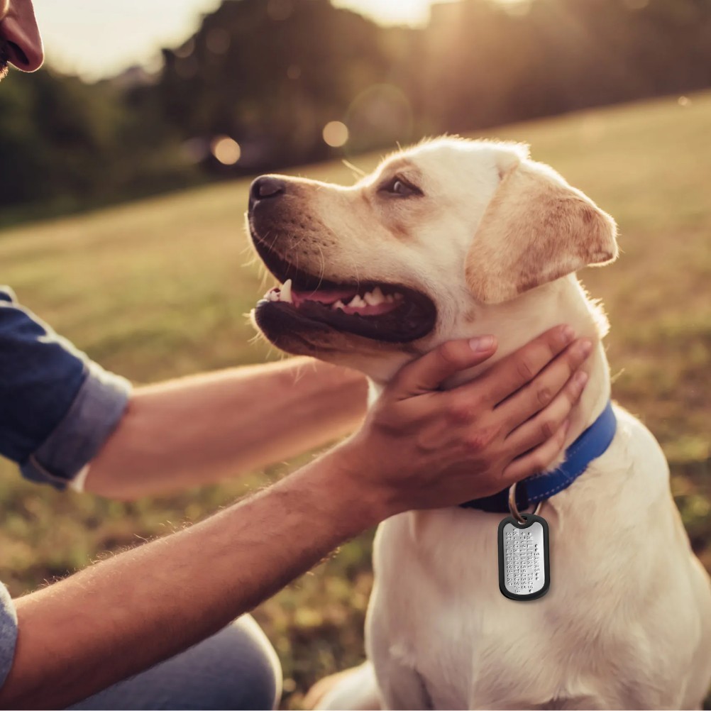 4Pcs Silicone Cover Pet Tag Silencers Black for Dog Collar Name Tag Ring