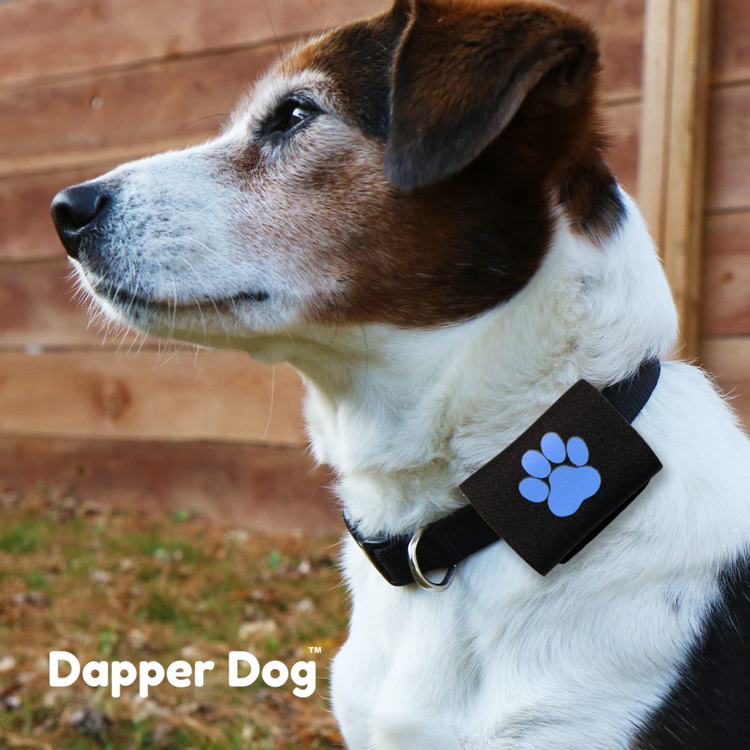Dapper Dog Pet Tag Silencer and AirTag Holder Black with Blue Paw