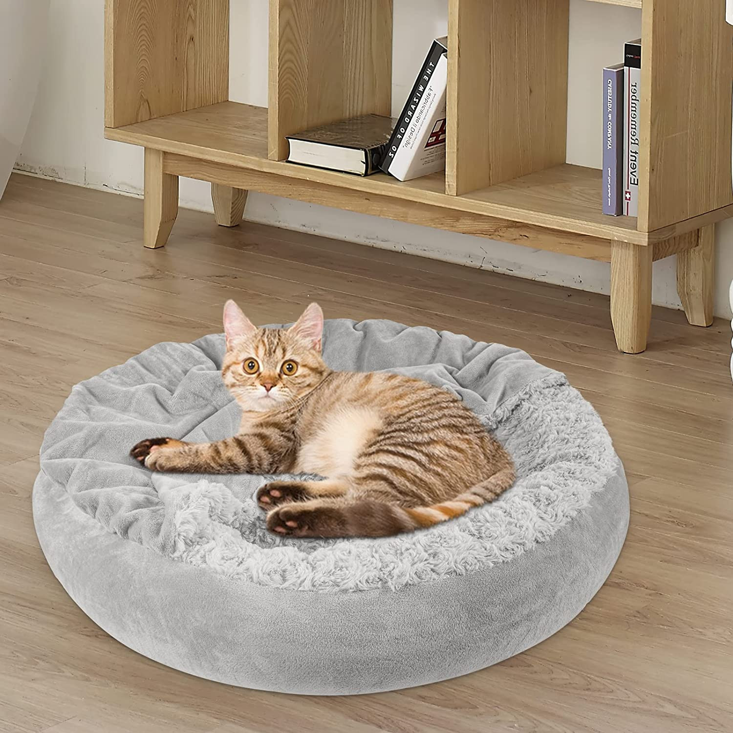 Cama the Cuddle Collab Pet Moderna Estrutura De Madeira Enchimento De Espuma P/