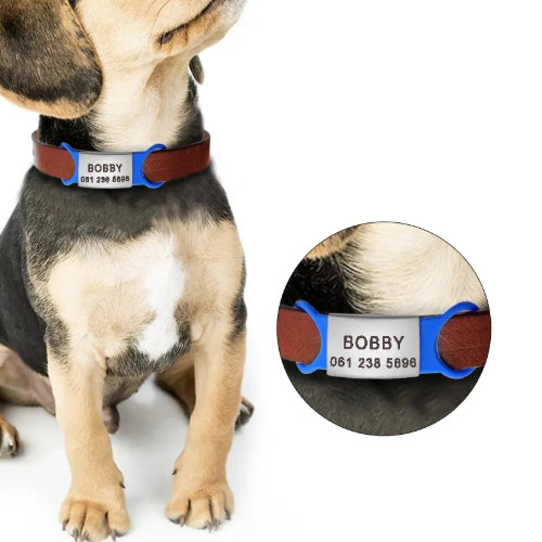 Custom Dog Tag Pets Engraved Name Tag Slide On ID Tags Collar Tags S, M, L, XL