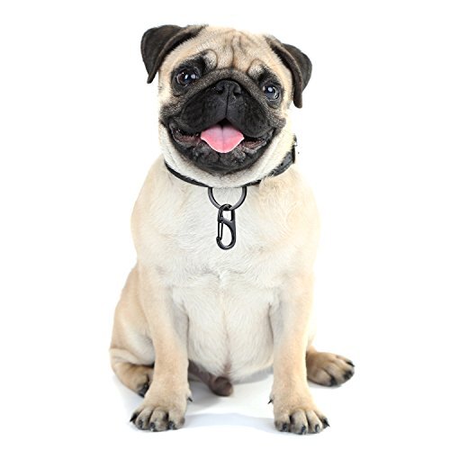 12 Pieces Dog Tag Clips Pet Tag Rings Dog ID Holder for Dogs and Cats, 3 Sizes