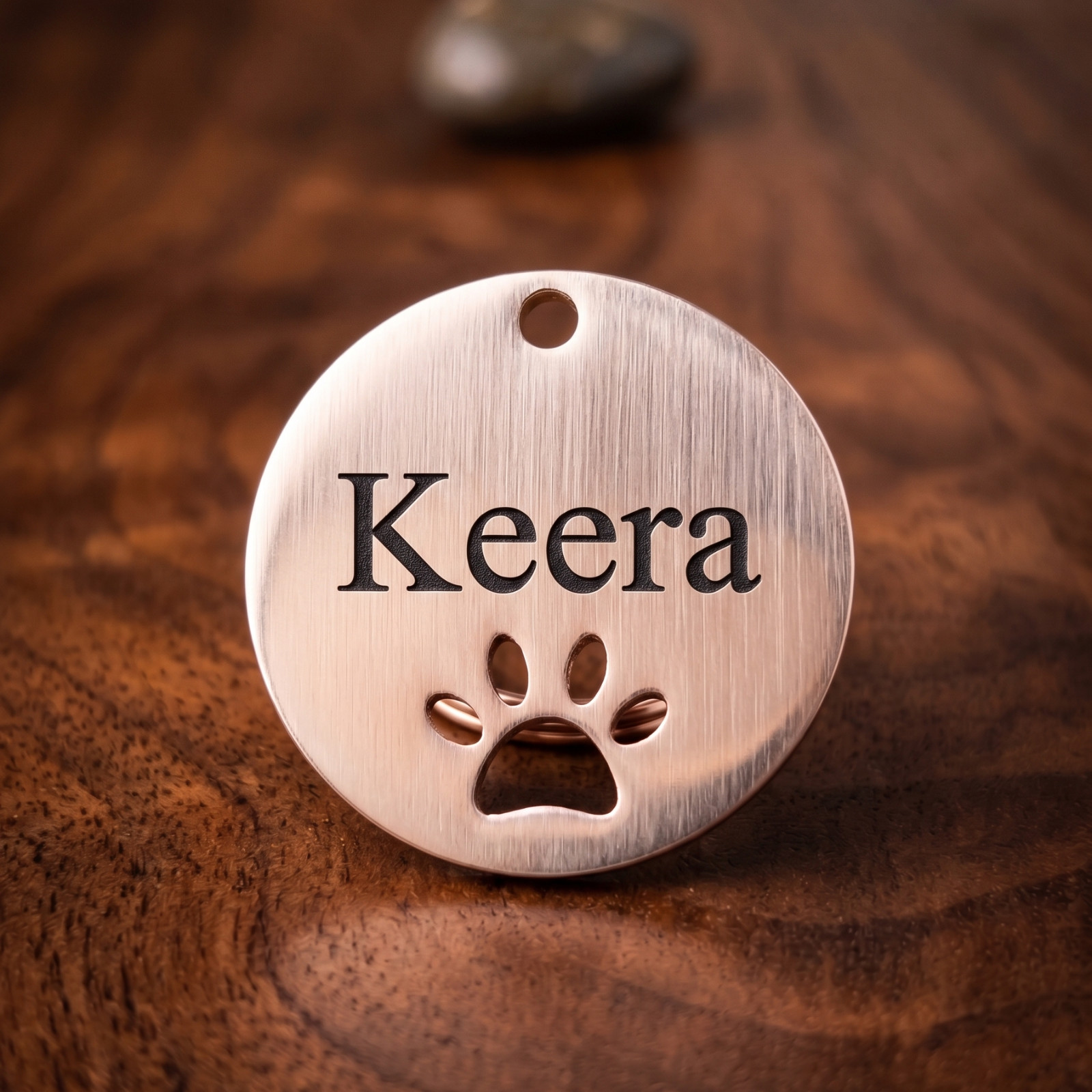 Custom Round Paw Cutout ID Tag Engraved Placa Perro Gato Stainless 2 Sizes USA