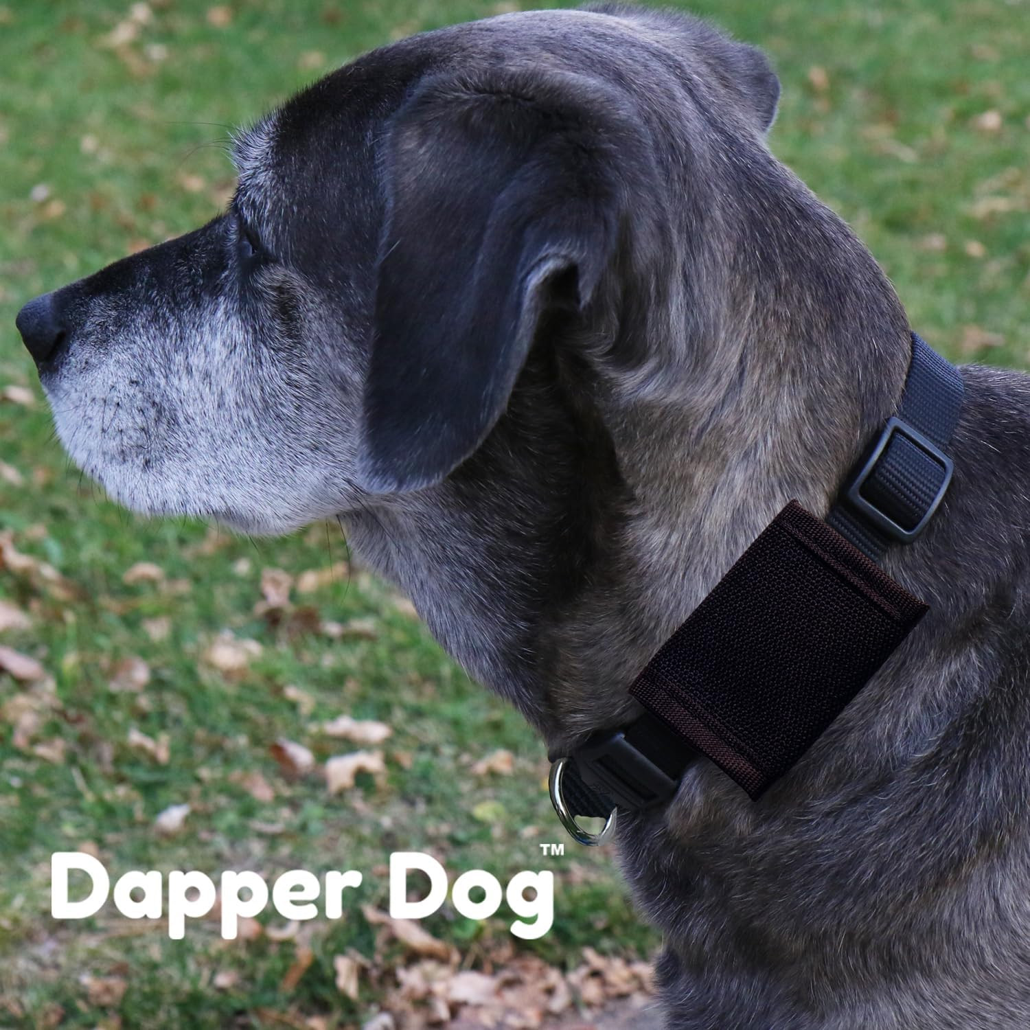 Dapper Dog Pet Tag Silencer Ballistic Nylon Black Quiet Collar Accessories