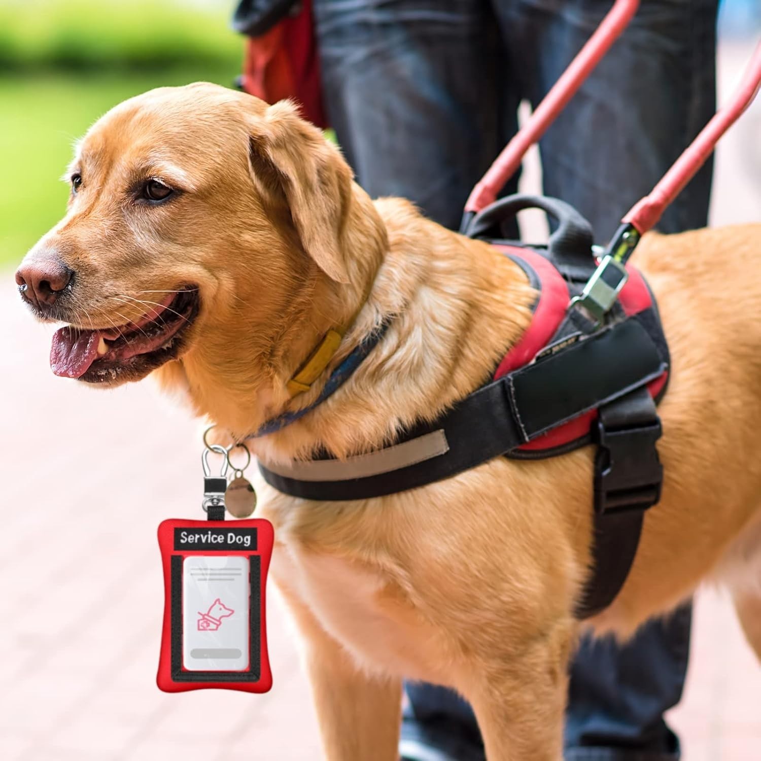 Convenient 2-Piece Service Dog ID Holder Set – Red Clip-On for Easy Display