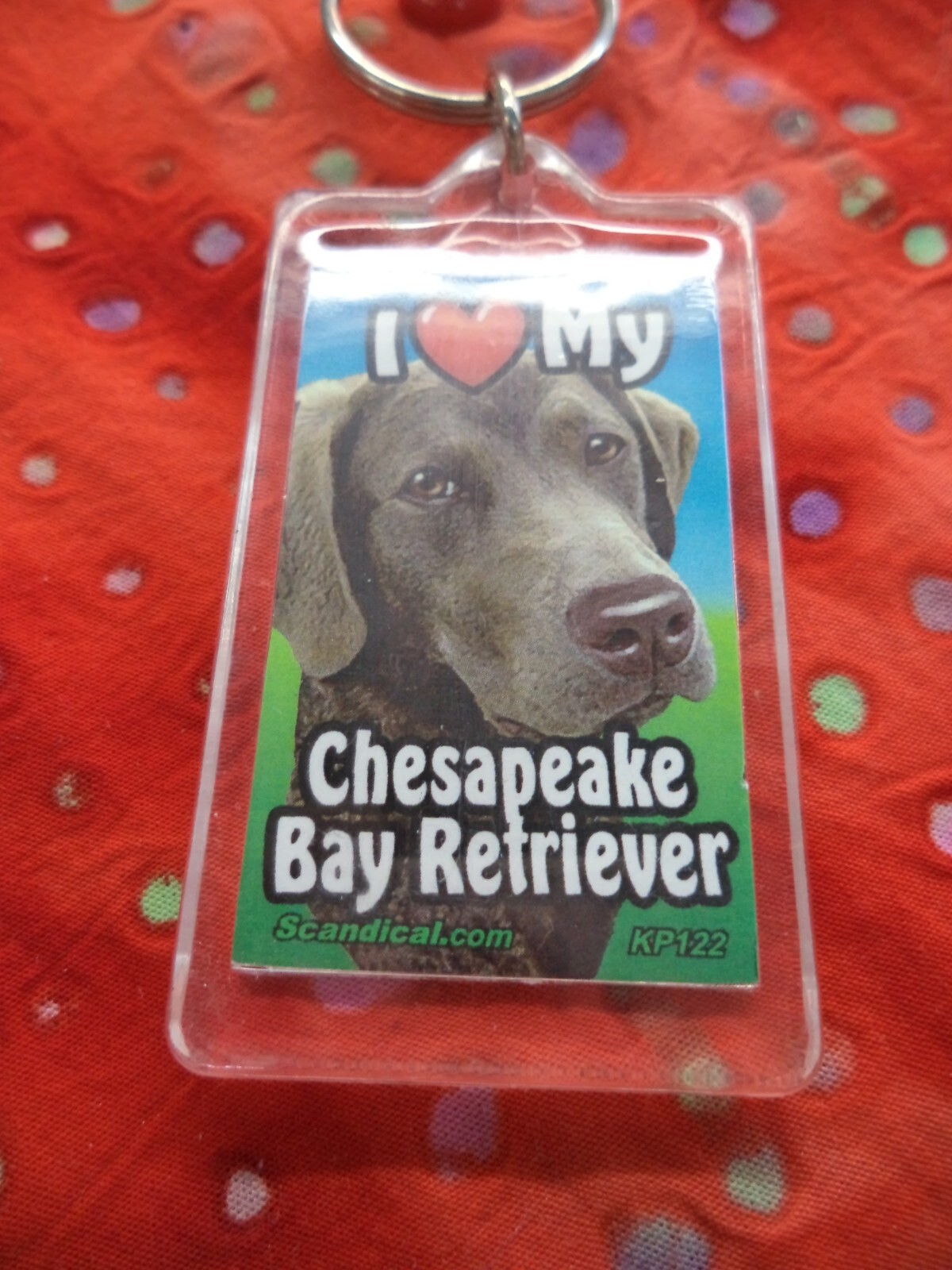 SCANDIAL PET KEY CHAINS – DOUBLE SIDED – I LOVE MY __DOG__ YOU PICK BREED! #3
