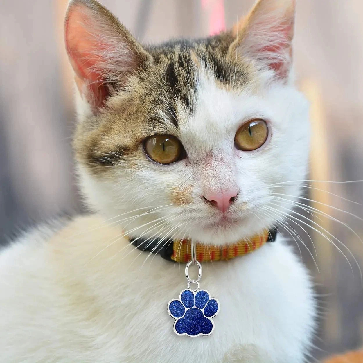 Personalized Pet ID Tag, Dog Tag, Cat Tag, Custom Cat Tag, Easy to Read, Pet Tag