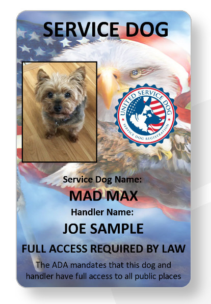 USA Eagle theme Service Dog/Emotional support/Therapy Dog ID card