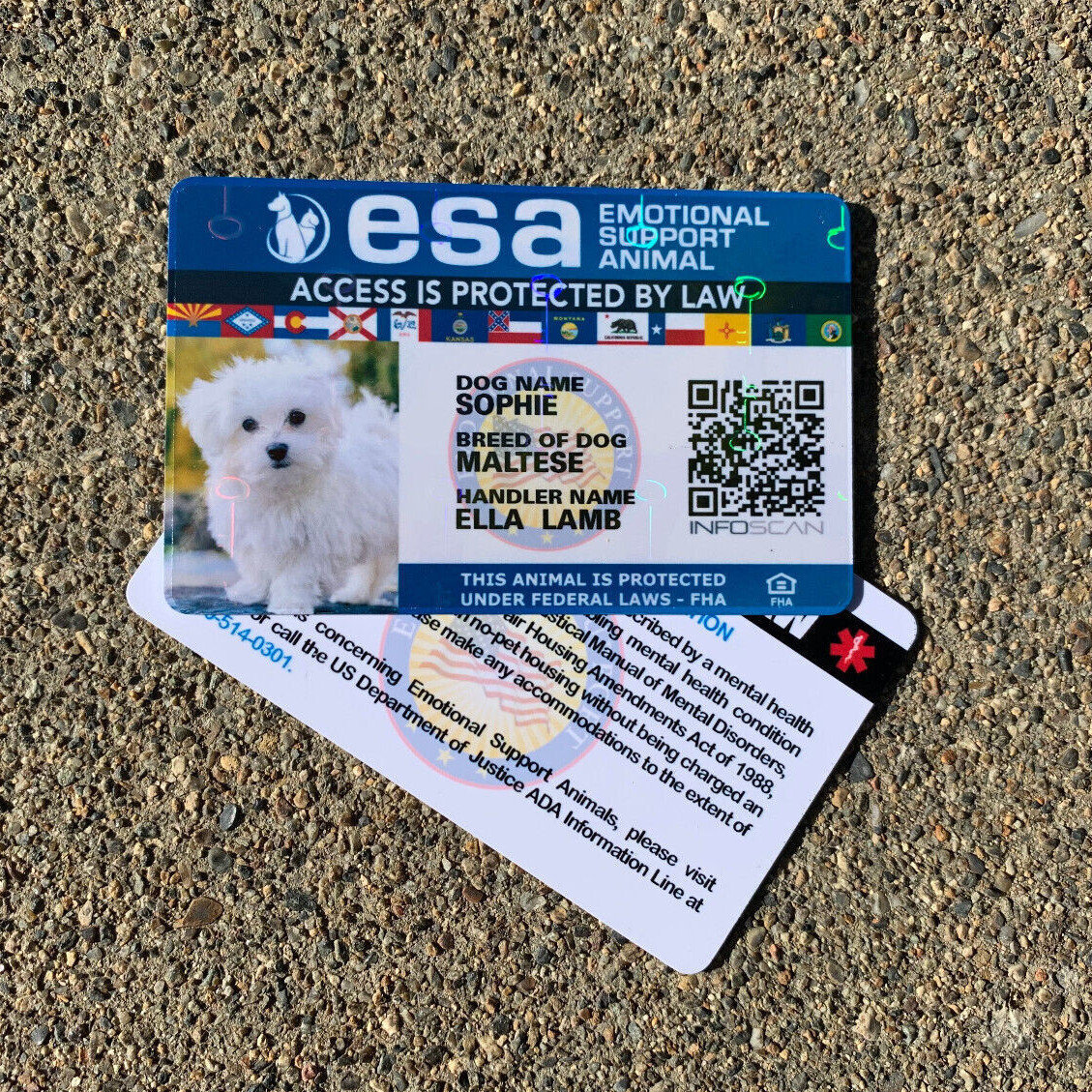 ESA ID CARD EMOTIONAL SUPPORT REGISTRATION EMOTIONAL SUPPORT ANIMAL HOLOGRAPHIC