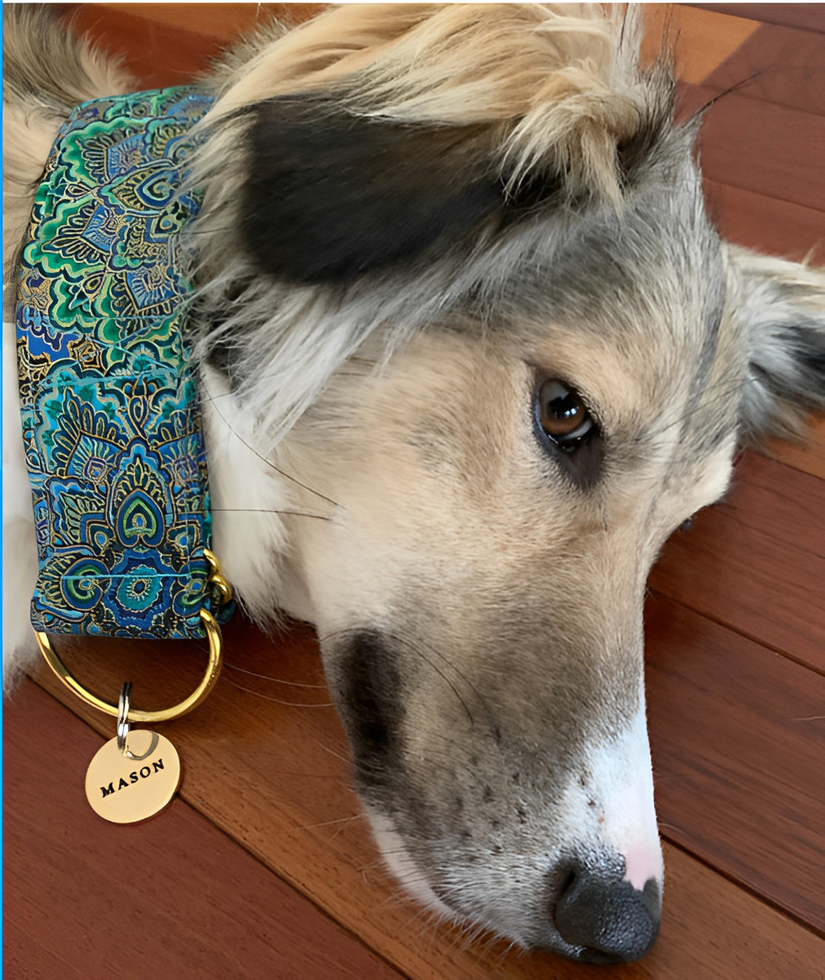 DEEP ENGRAVED CUSTOM PERSONALIZED BRASS PET TAG ID DOG CAT NAME TAGS