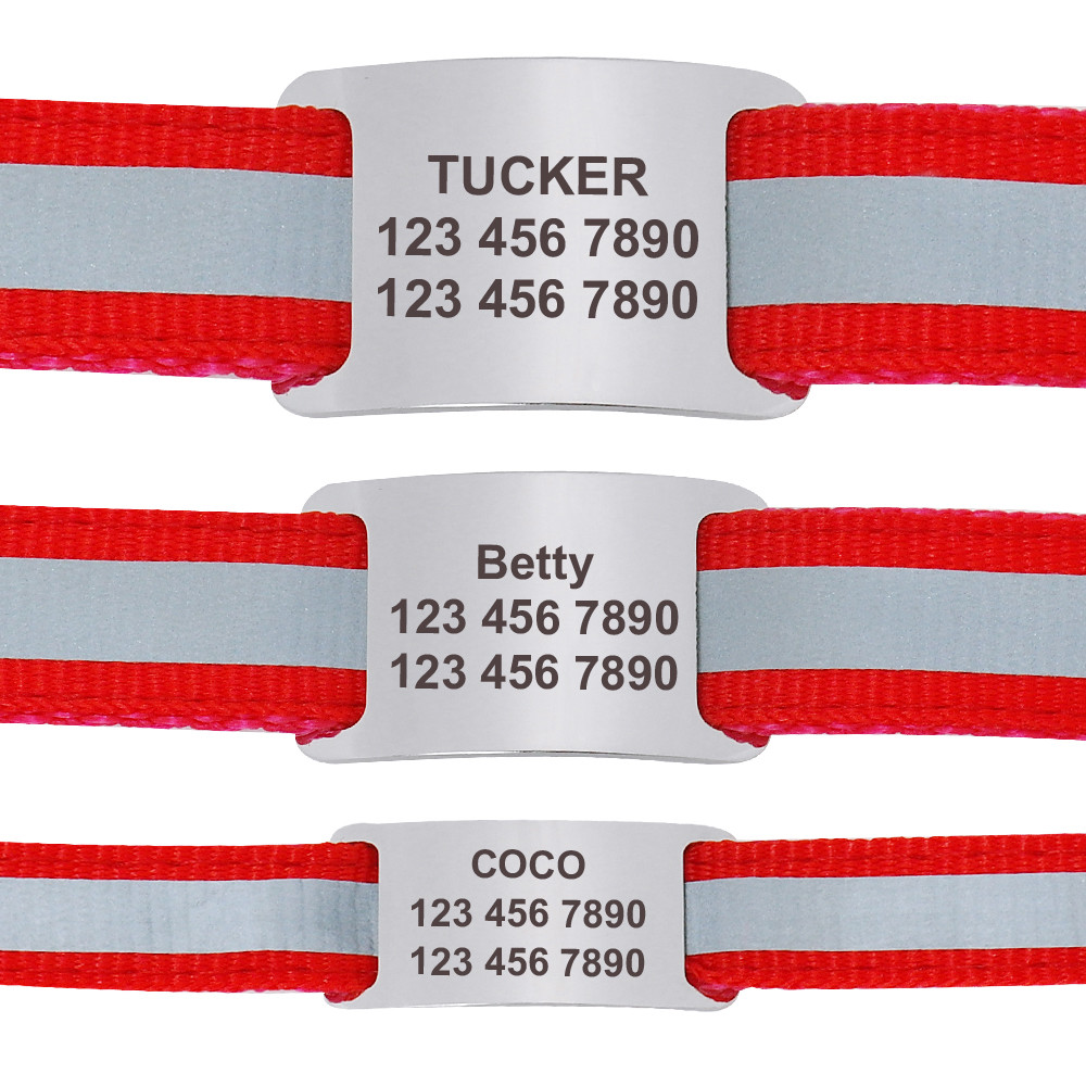 Dog Pet ID Tag Personalized Slide On Slider Name Custom Engraving Noiseless