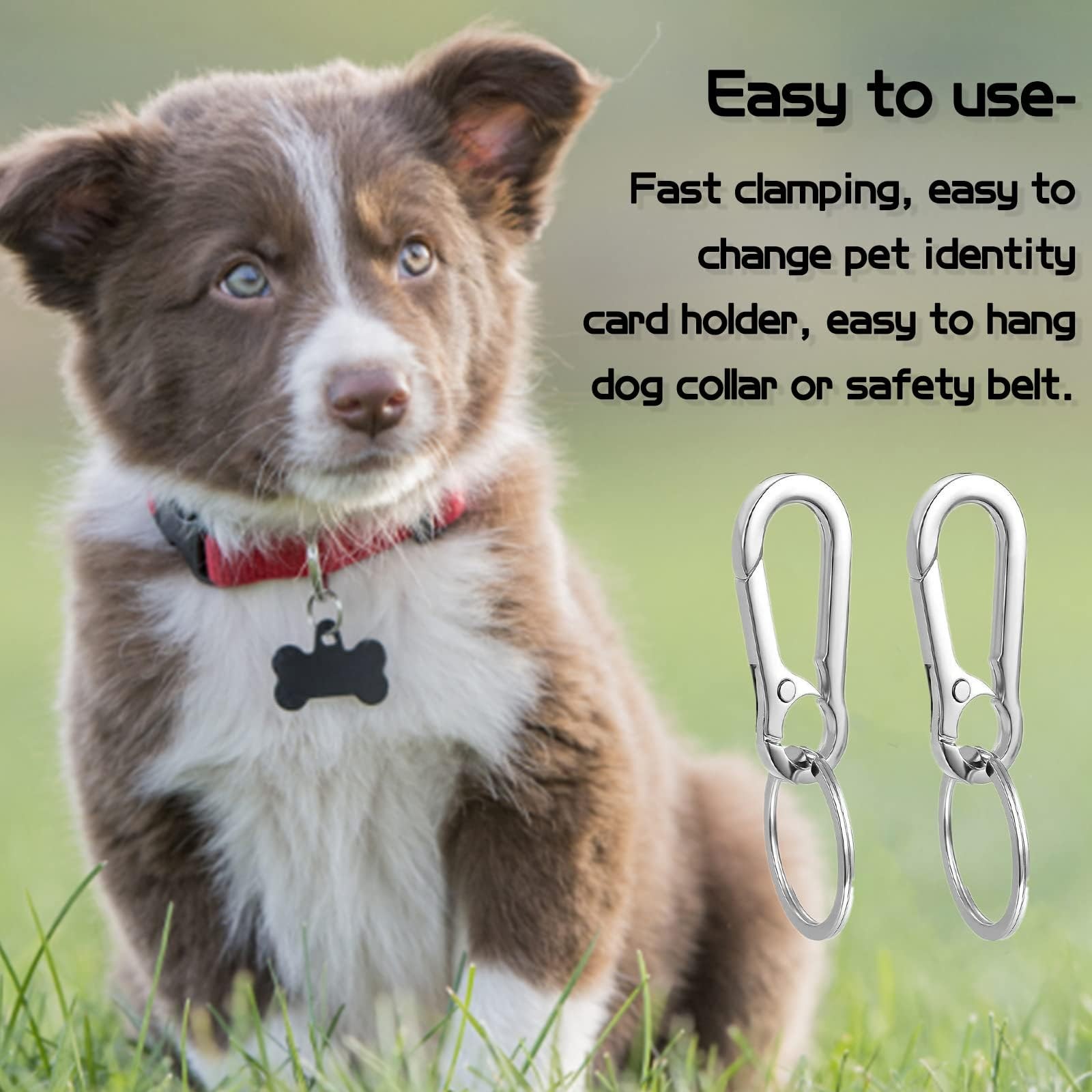 2 Pack Dog Tag Clips, Stainless Steel Heavy Duty Quick Clips with Rings, Easy…