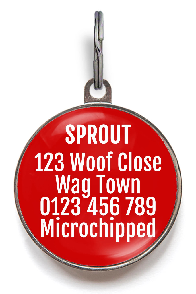 Service Dog Tag – Medical Alert Pet ID for Working Dogs – Durable & Waterproof