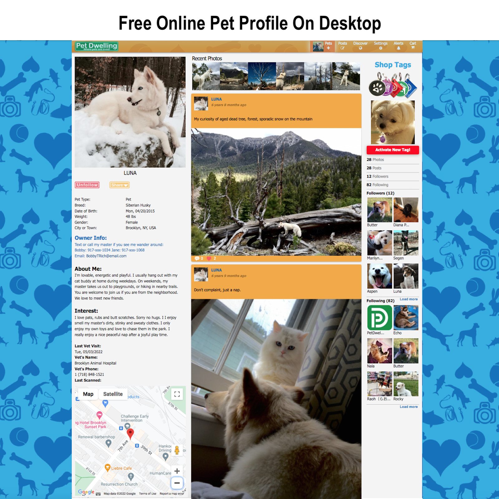 PetDwelling Lightweight QR Pet ID Tag-Online Profile-Instant Scan Location Alert