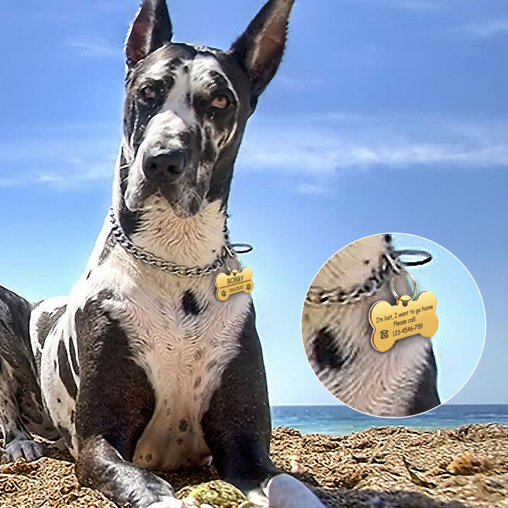 Stainless Steel Personalized Dog Tag Bone Shape Pet Dog ID Name Phone Engraved