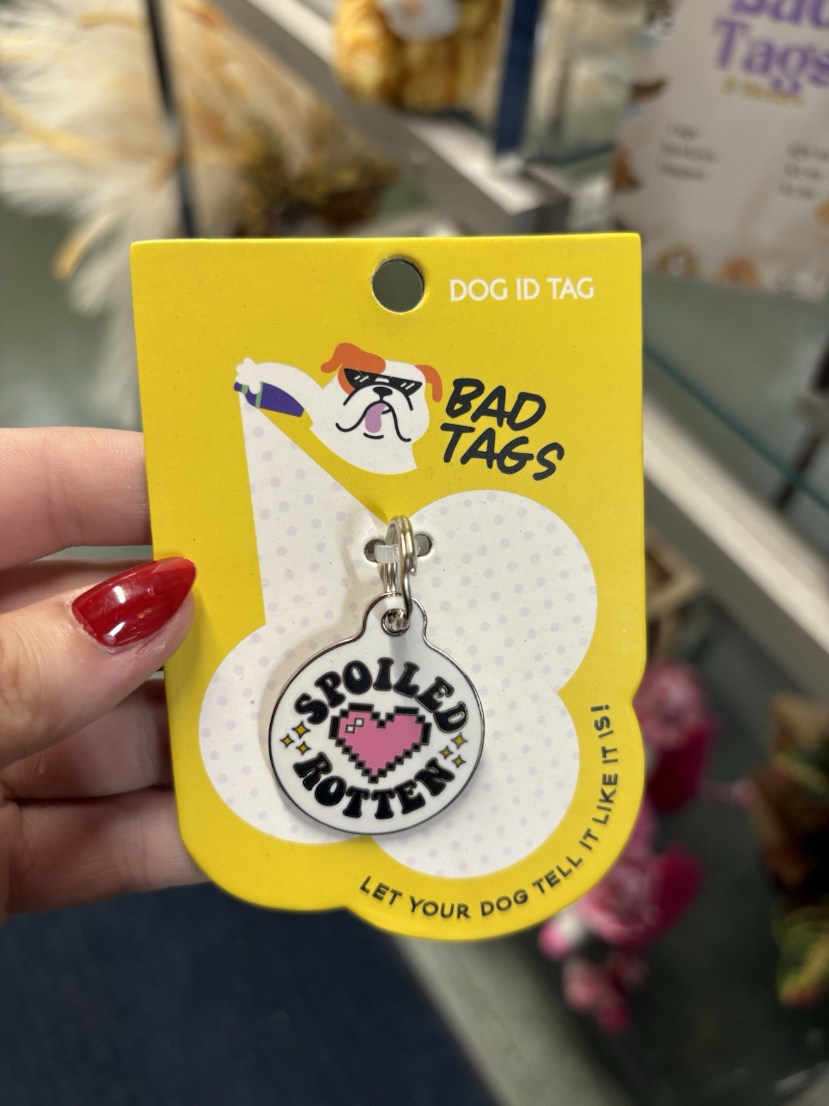 QR Dog Tag