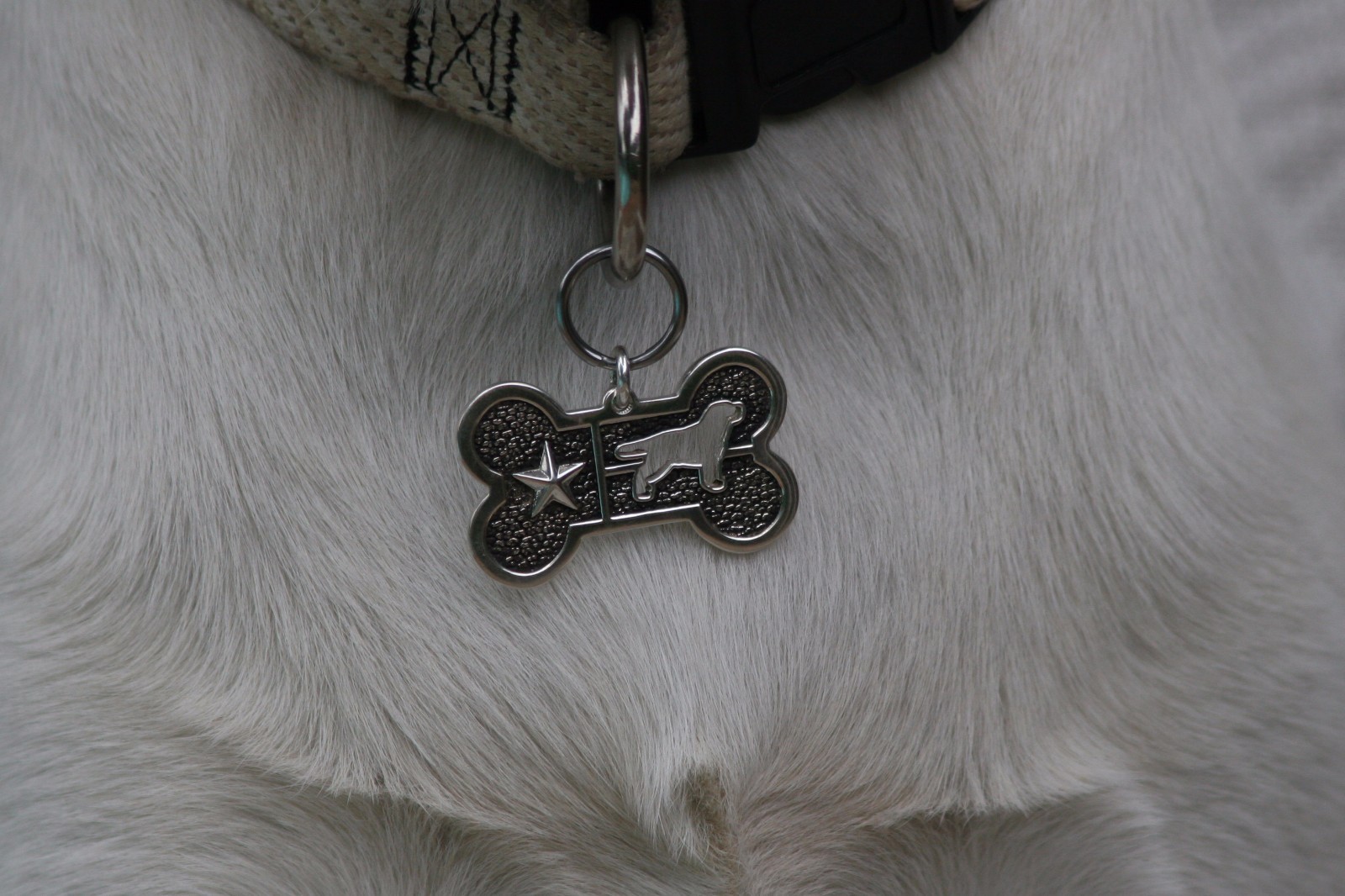 Labrador Retriever Lab Lone Star Dog Tag Sterling Bone